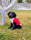 Ariannah - Photo 4
