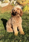 Cheerie - Photo 1