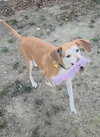 Brea - Photo 9