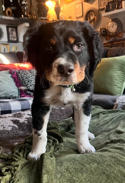 Butch Smudge Cassidy