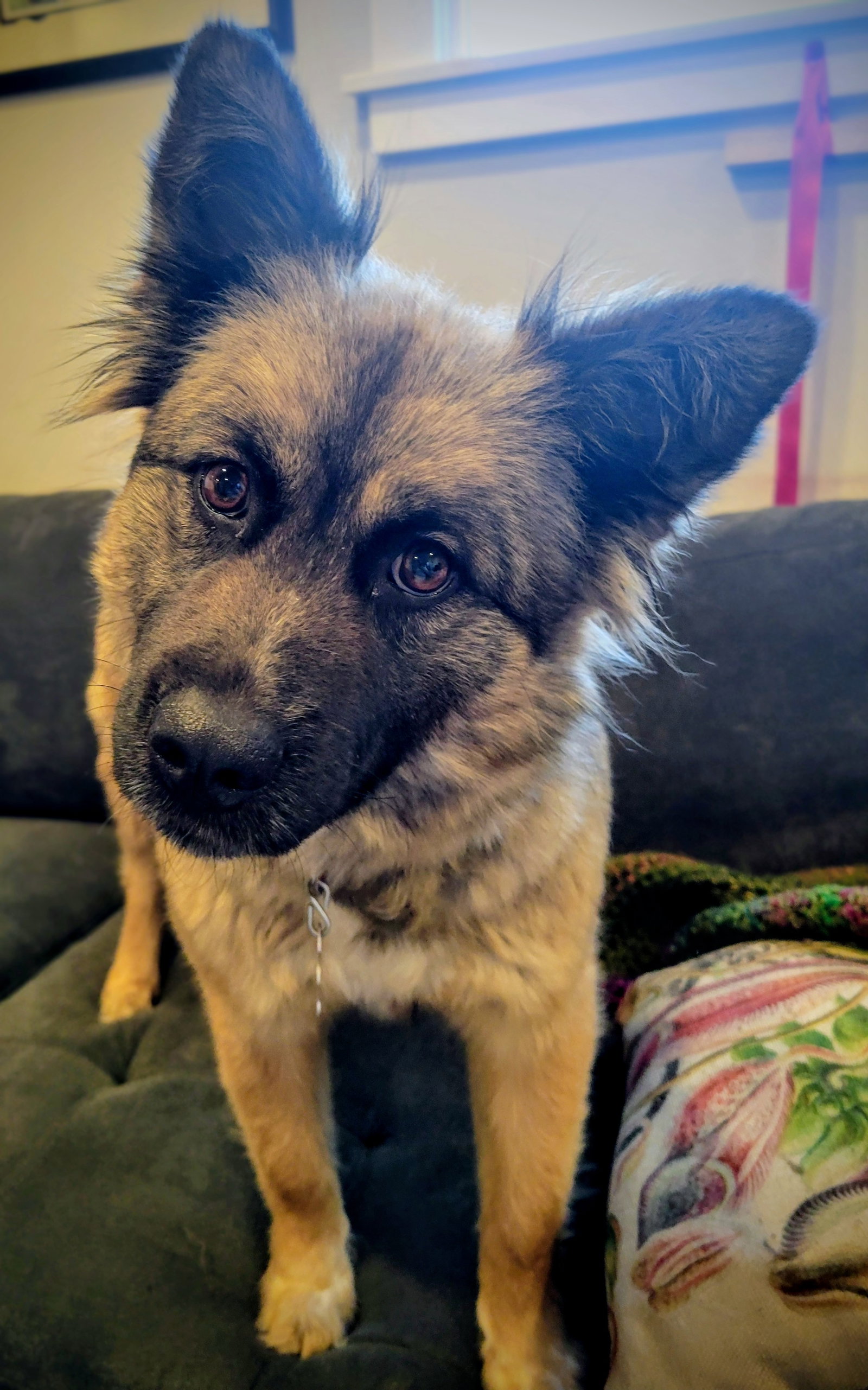 Lady Luna Image