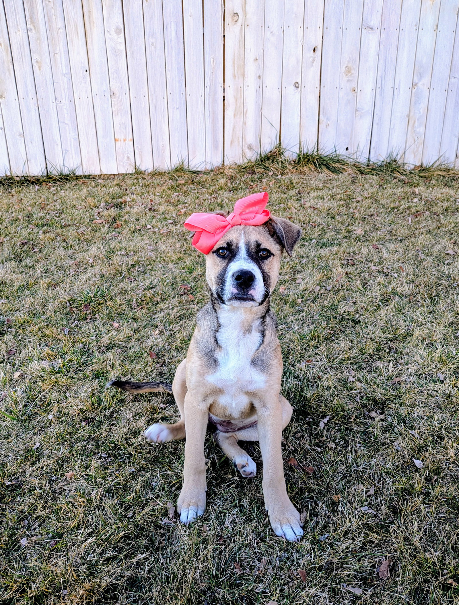Sloane Rosie Image