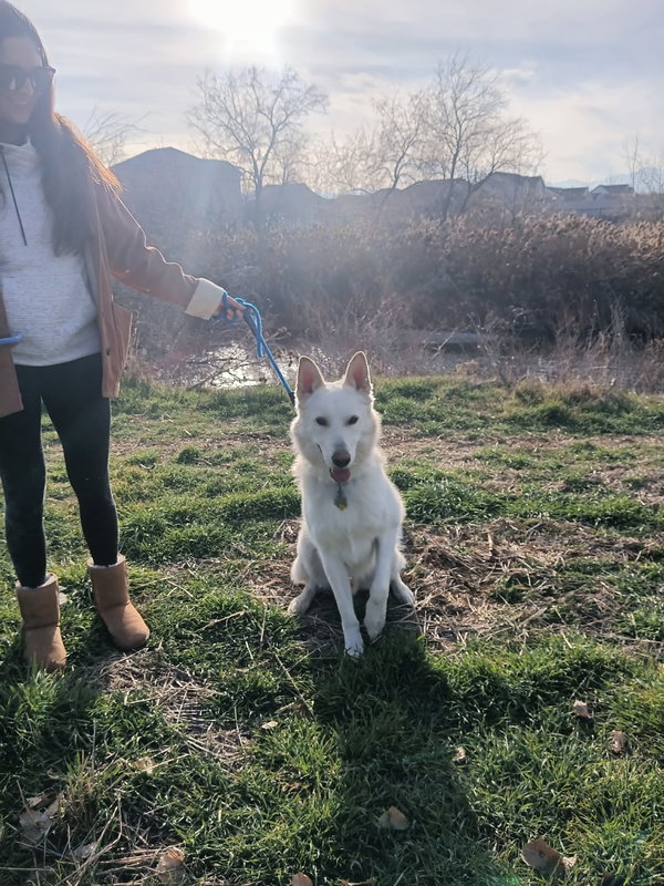 Bestest Buddy