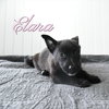 Elara
