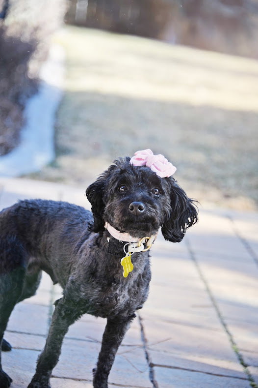 Minnie Rose Image