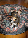 Stewart - Photo 3