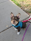 Stewart - Photo 4