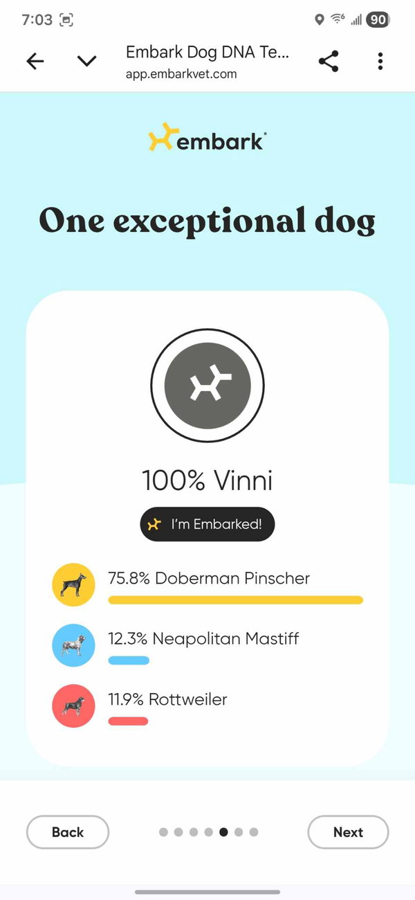 Vinni