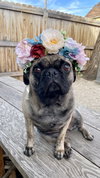 Lady Ludo