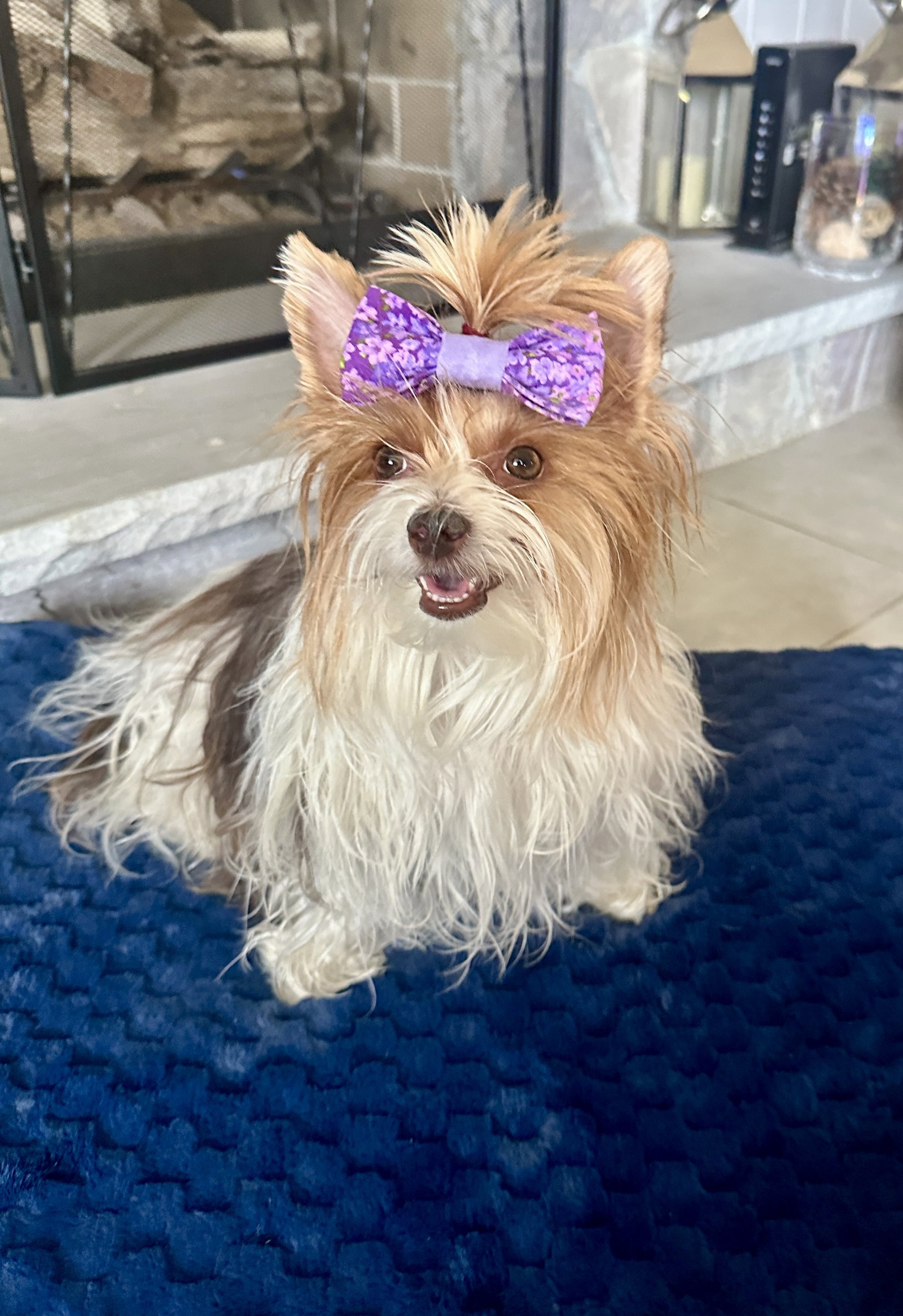 Little Miss Gigi