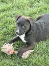 Sir Waylon of the Night - Photo 6