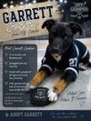 Garrett Graham
