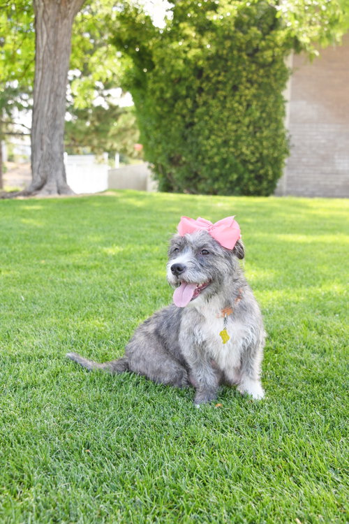 Momma Gray photo 5
