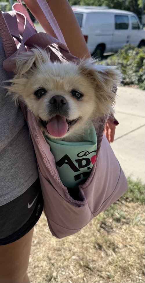 Eugene