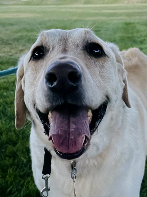 Happy Hank photo 2