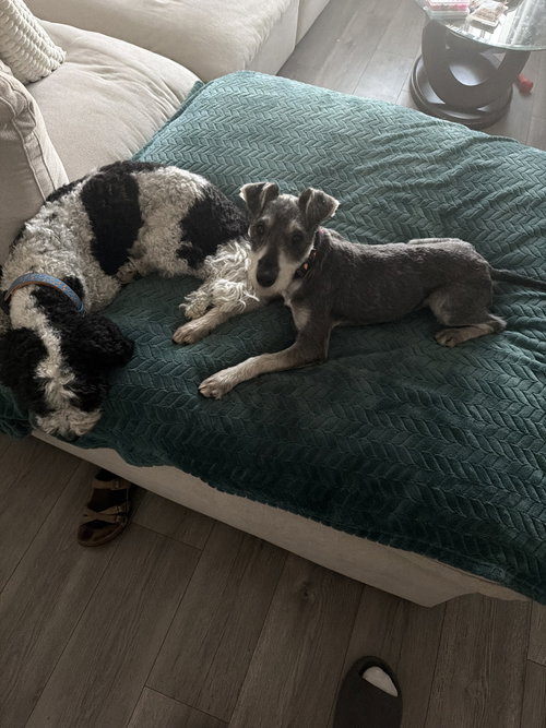 Winston Henry photo 6