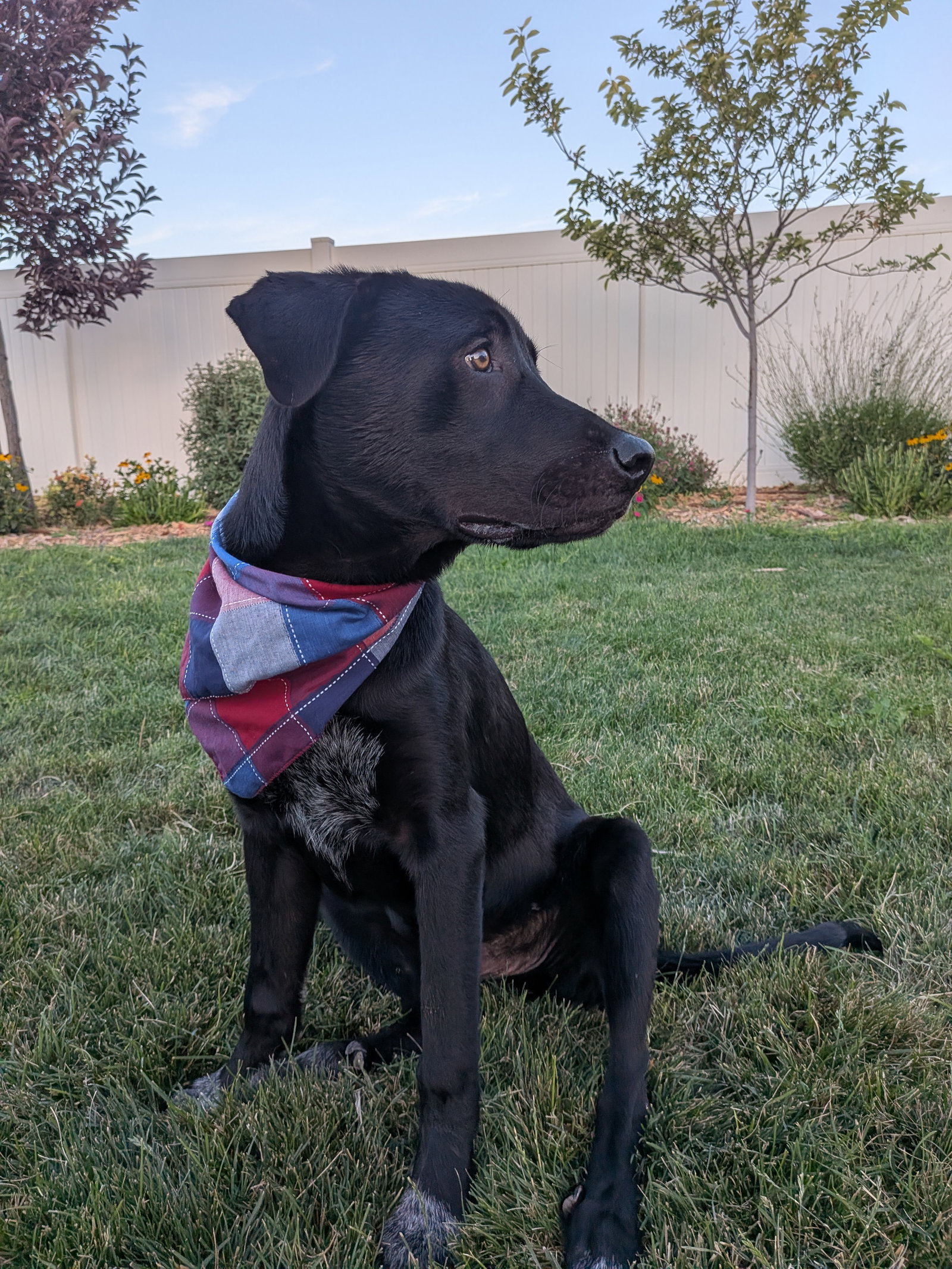 All American Kai, photo 10