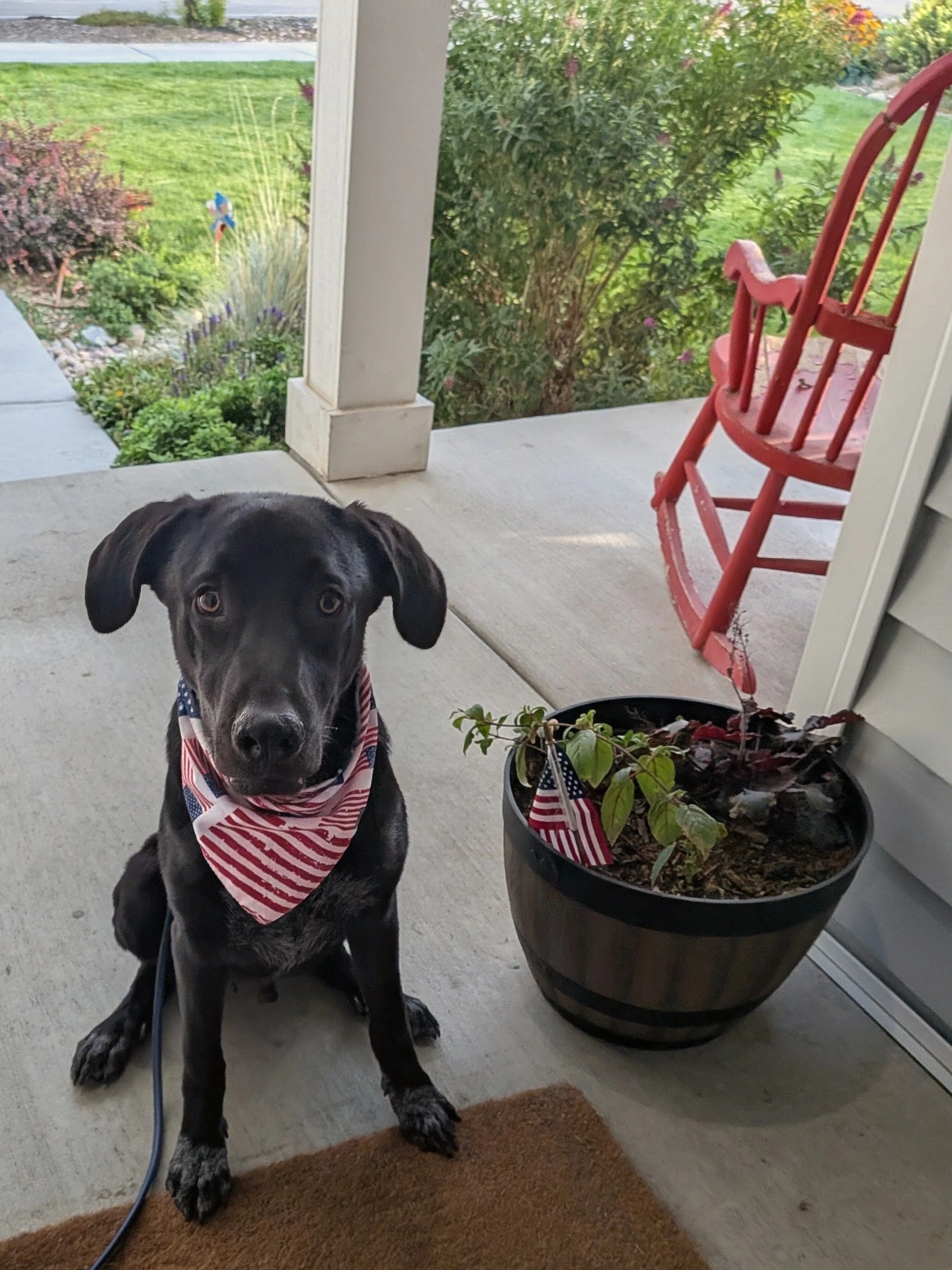 All American Kai