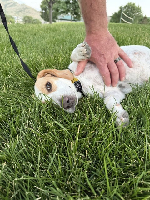 Whoops-A-Daisy photo 8