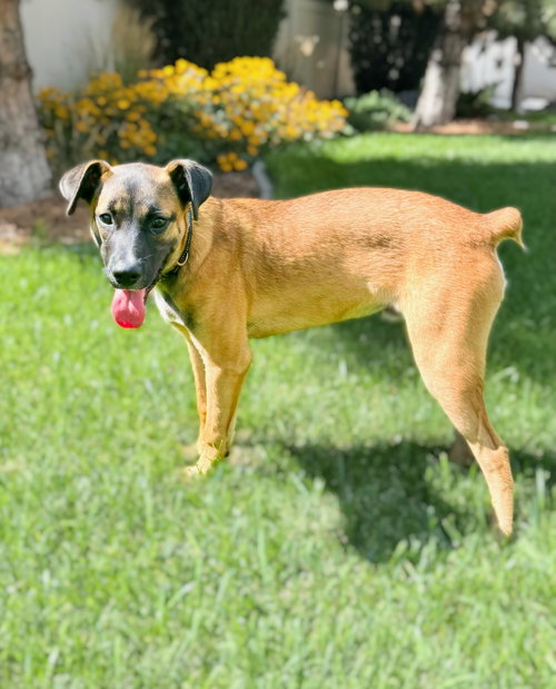 Photo 2 of River Roo