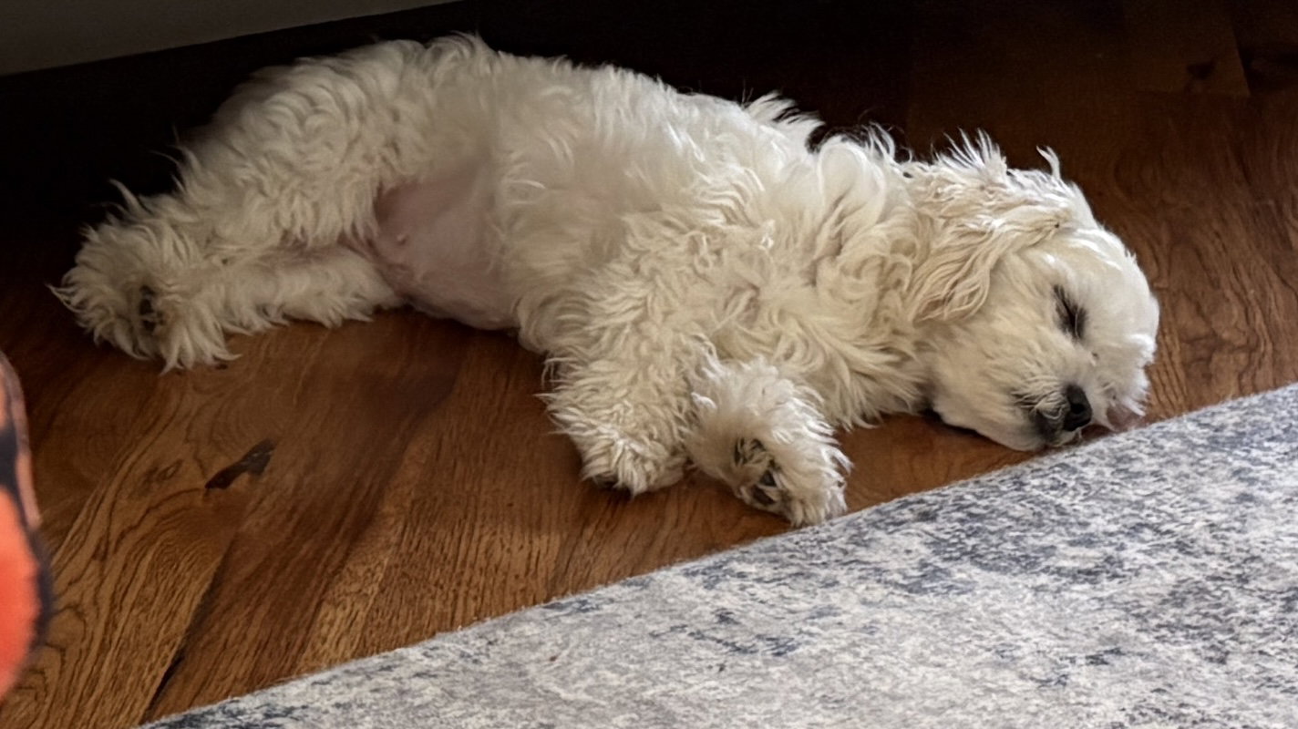 Briella, photo 4