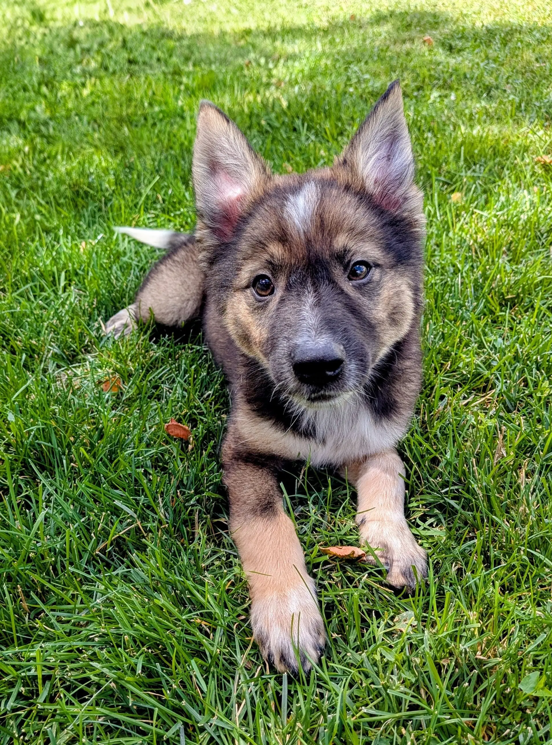 Ayla Cali image 2