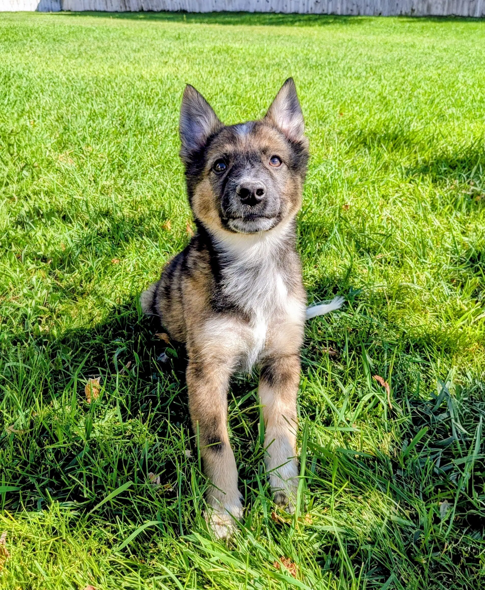Ayla Cali image 4