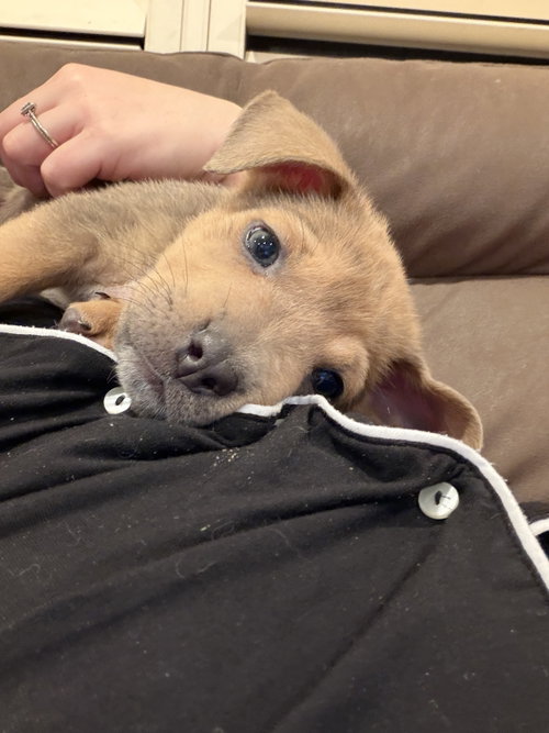 Photo 2 of Angelica Pickles