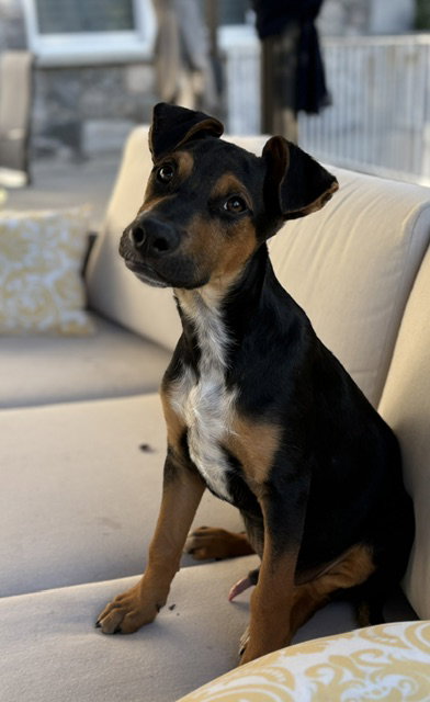 Photo 3 of AJ