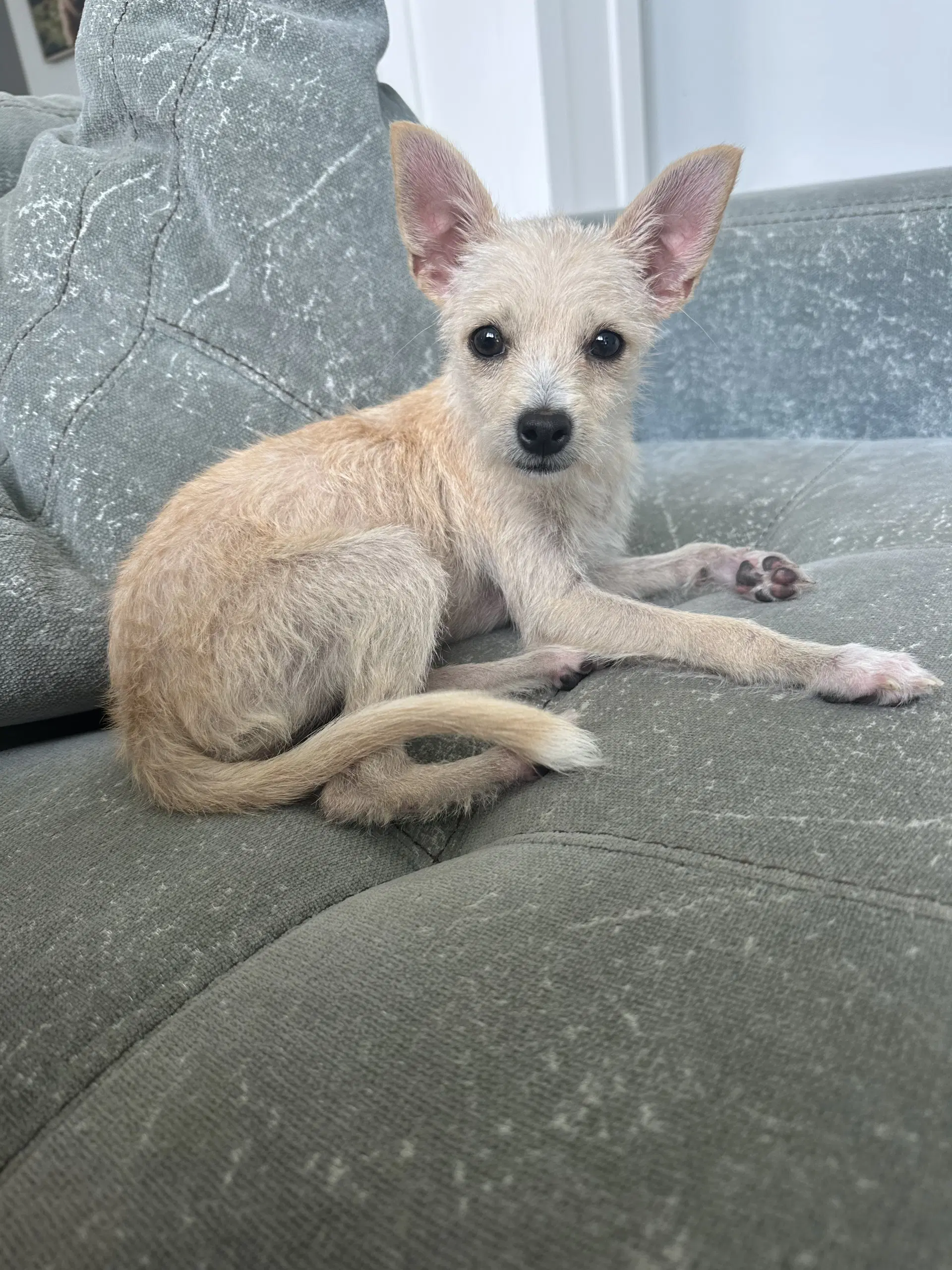 Daisy May image 2