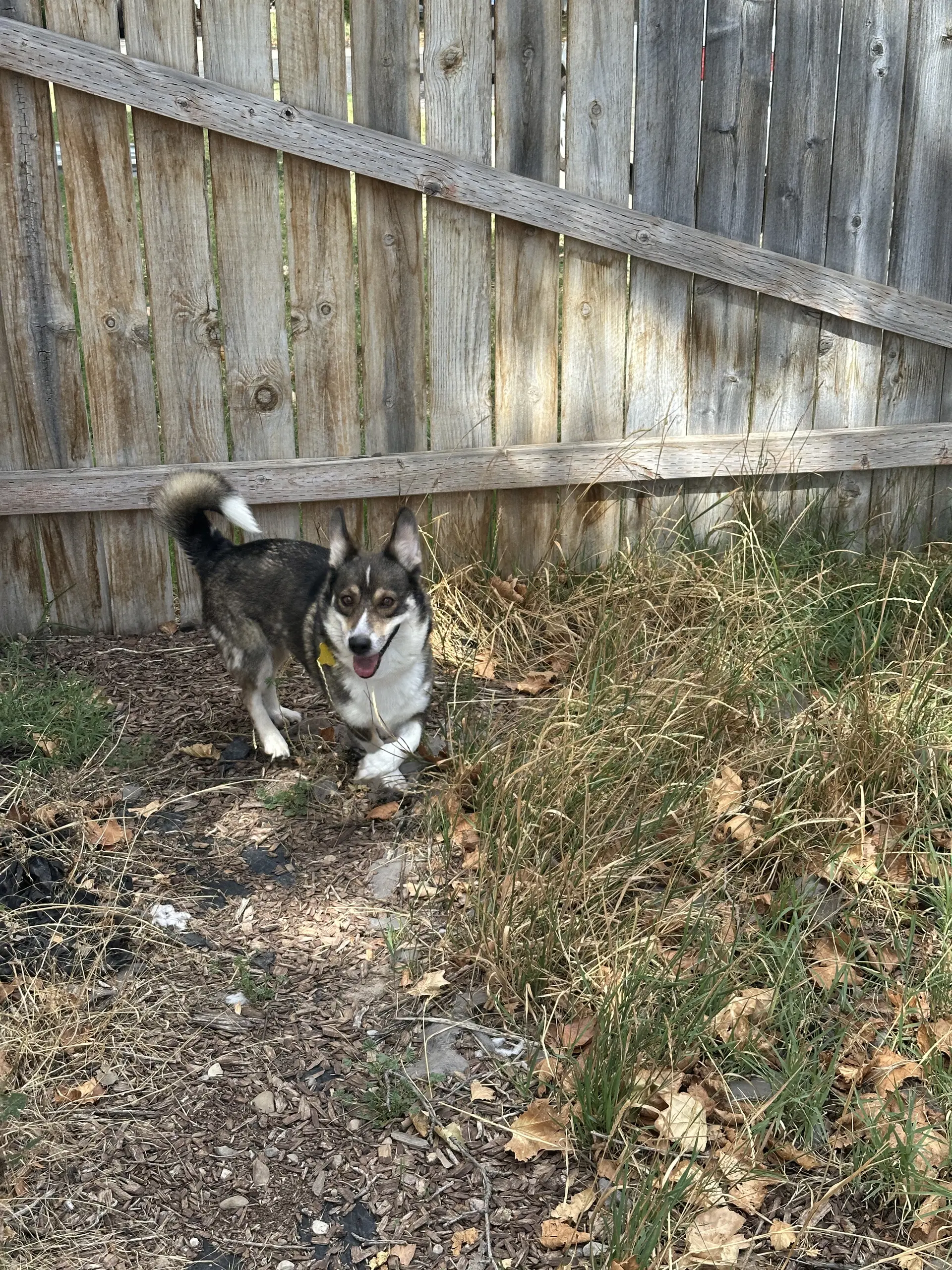 Sandy B image 3