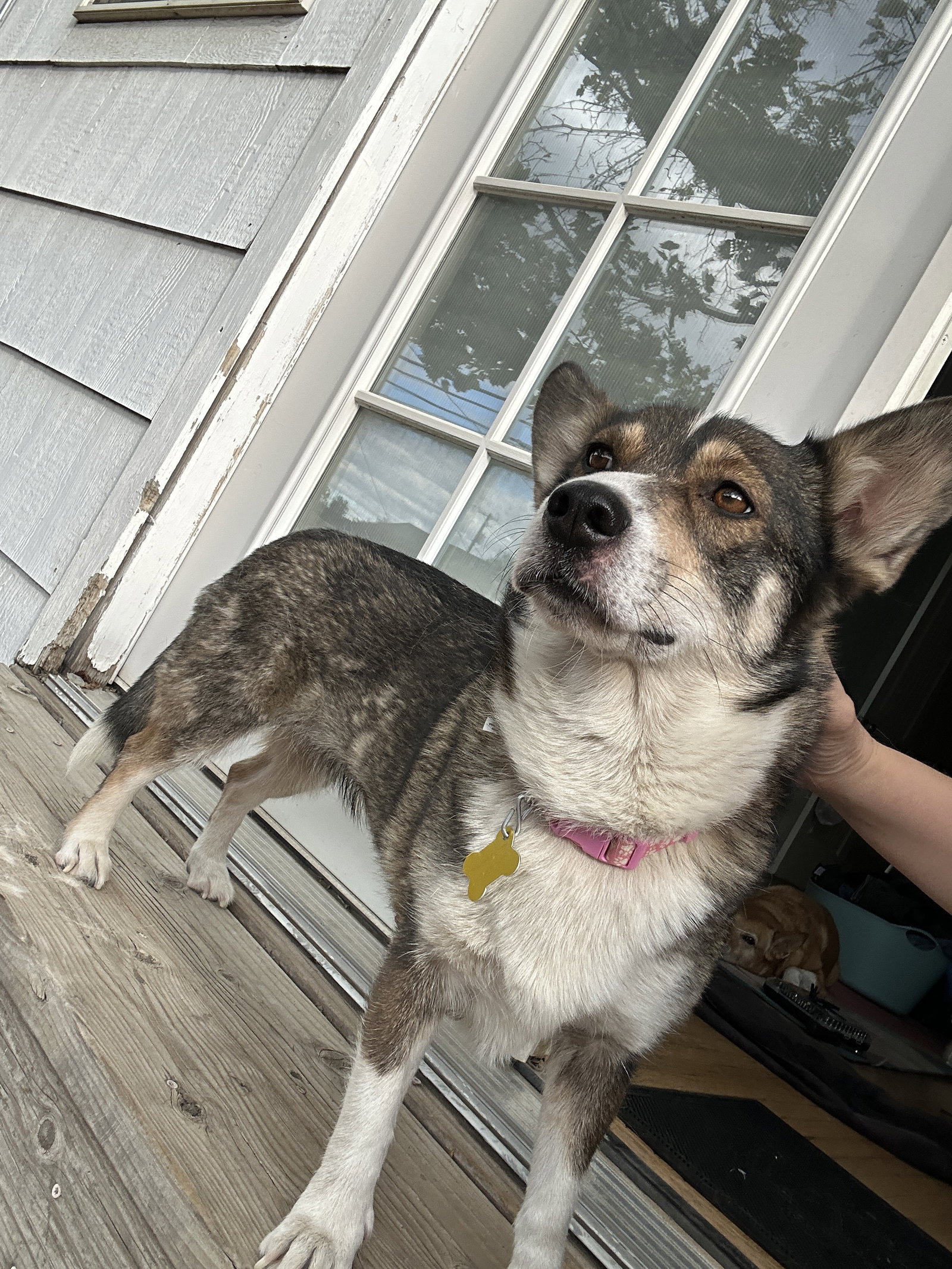 Sandy B, photo 7