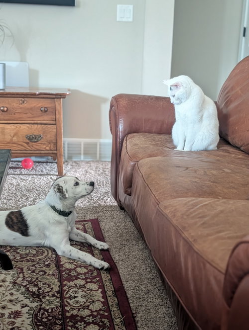 Photo 3 of Erik, the phantom of the opera
