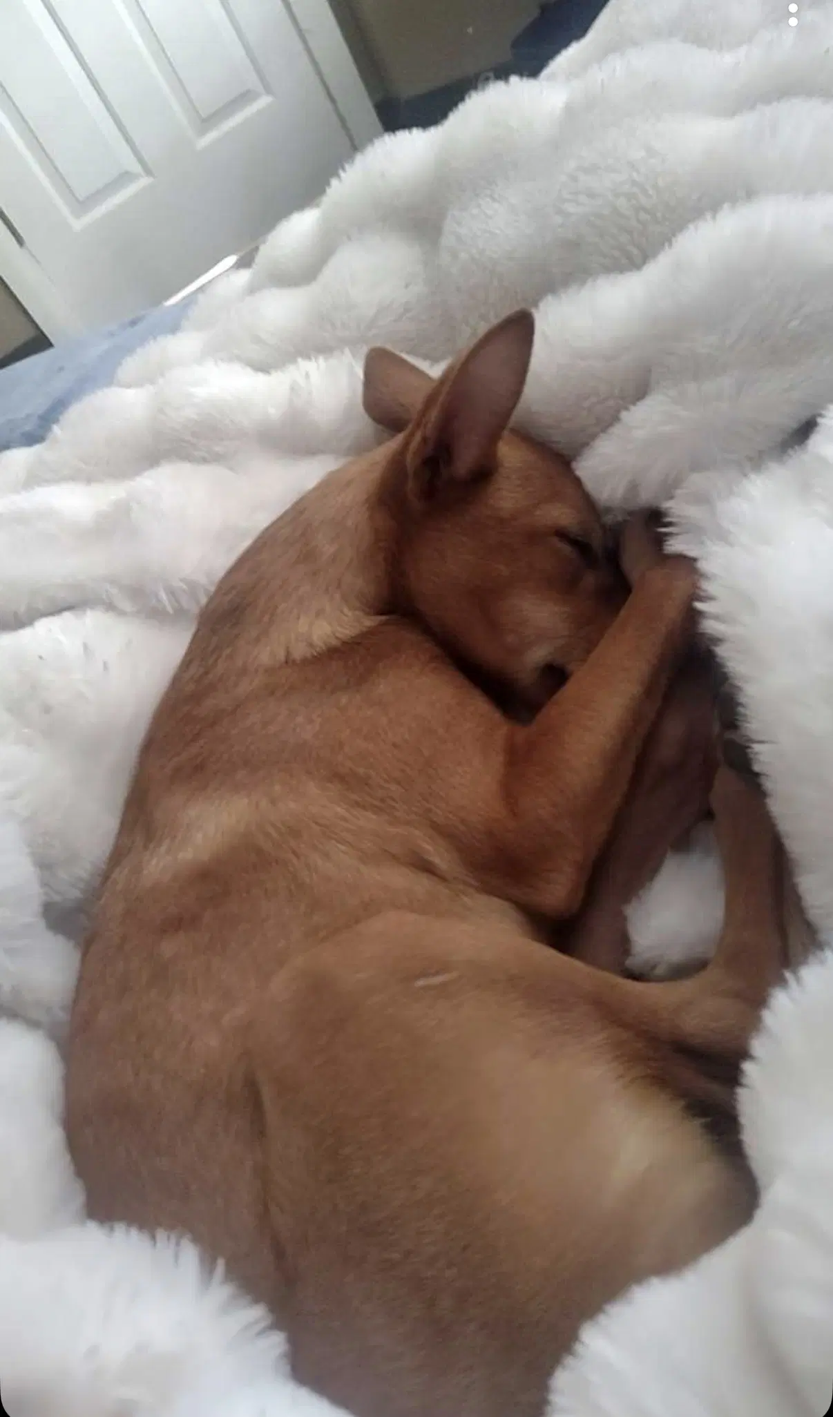 Miela image 2