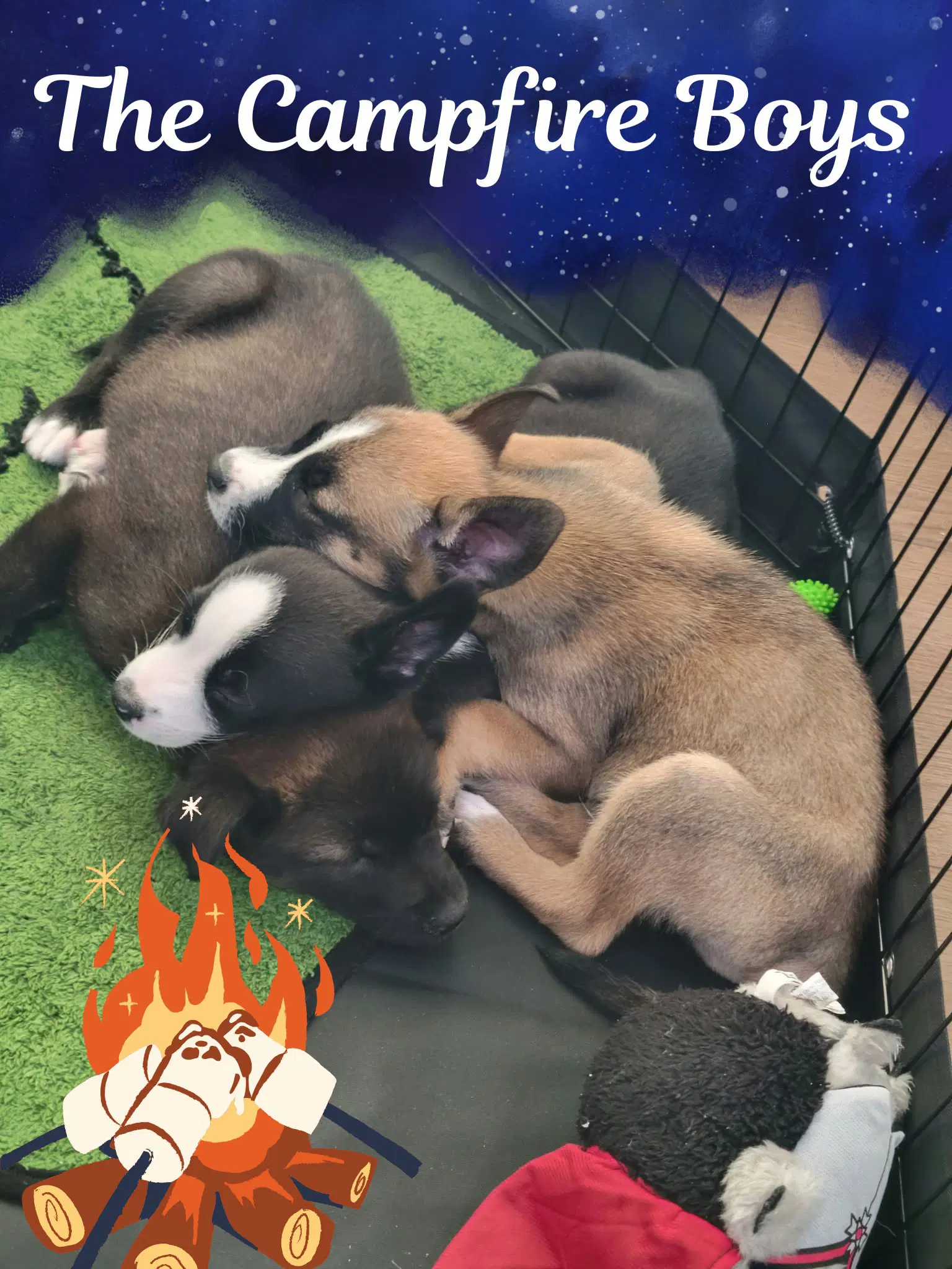 S'more image 2