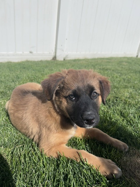Luella, photo 5