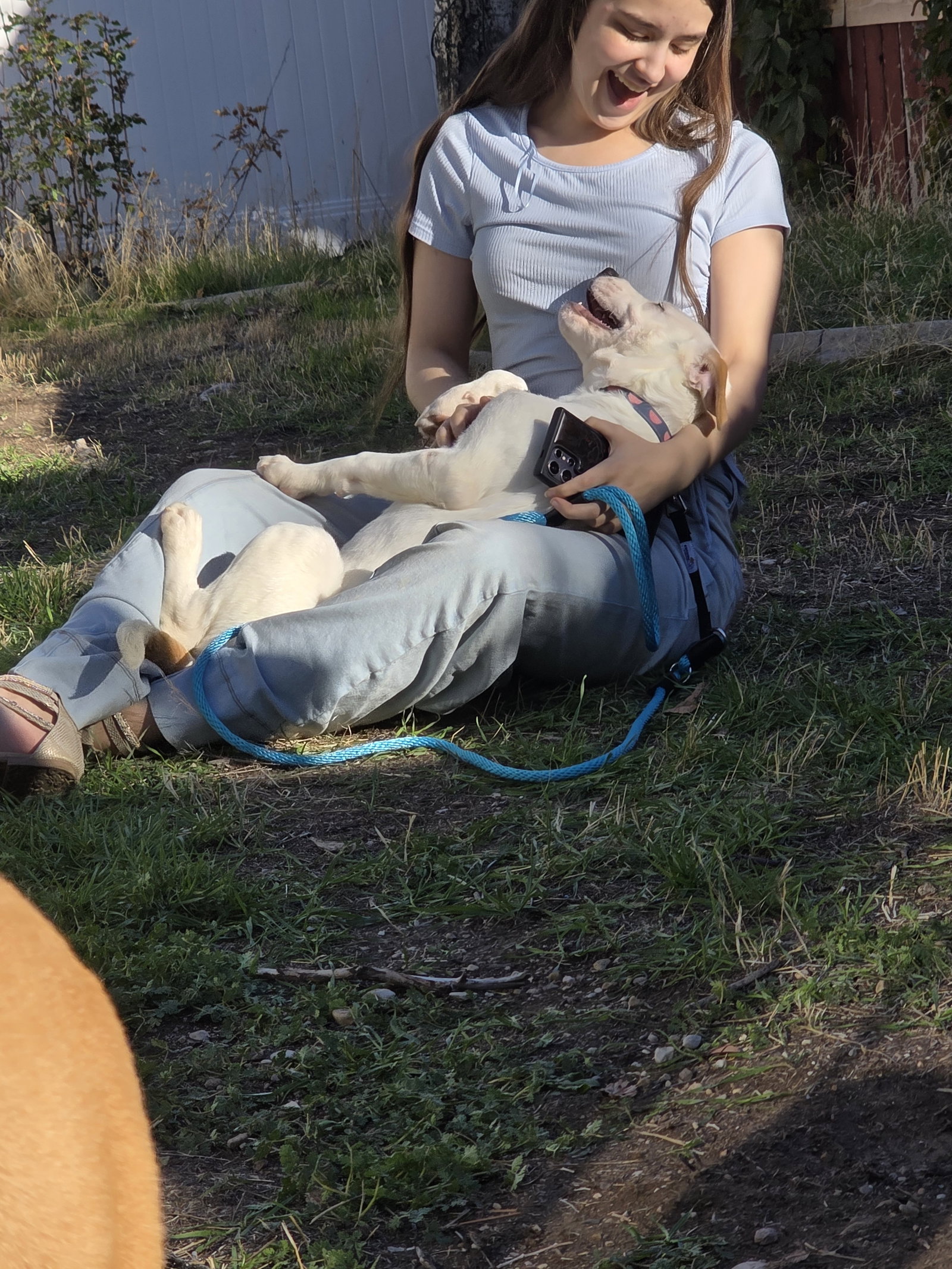 Alara, photo 5