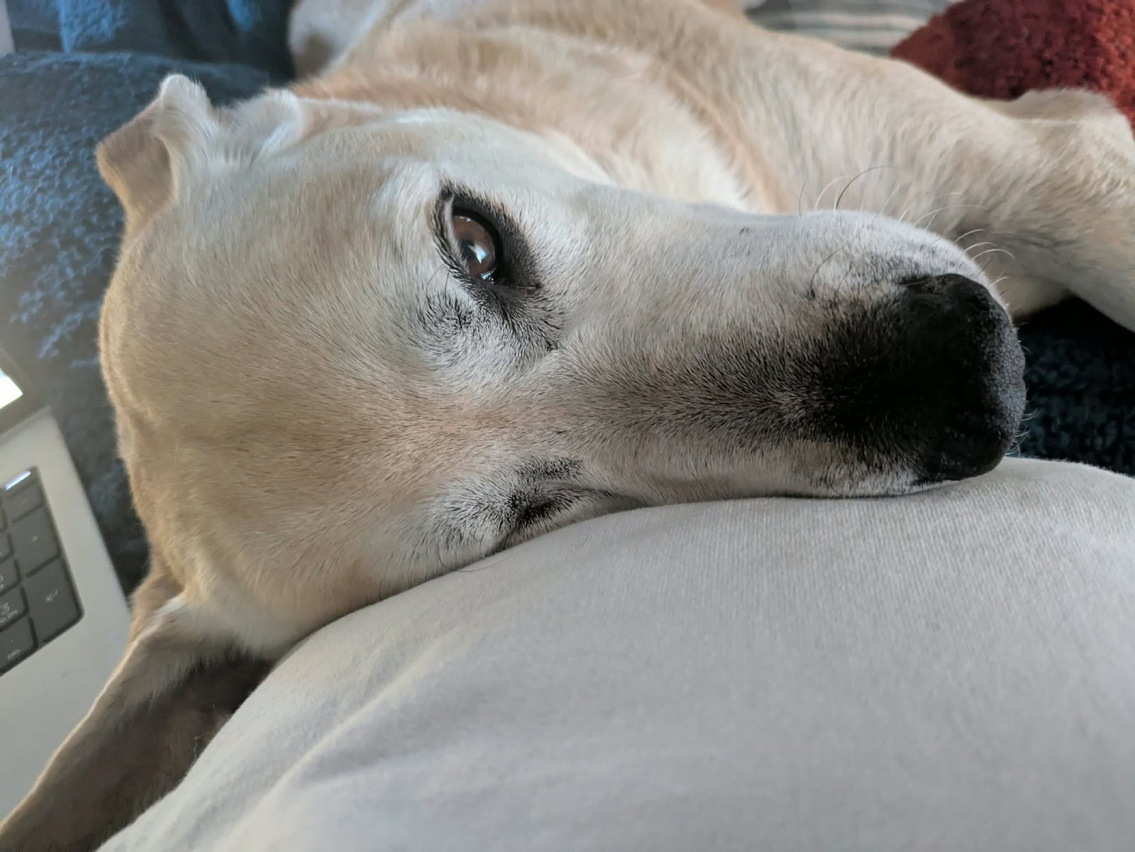 Sadie Anne, photo 3
