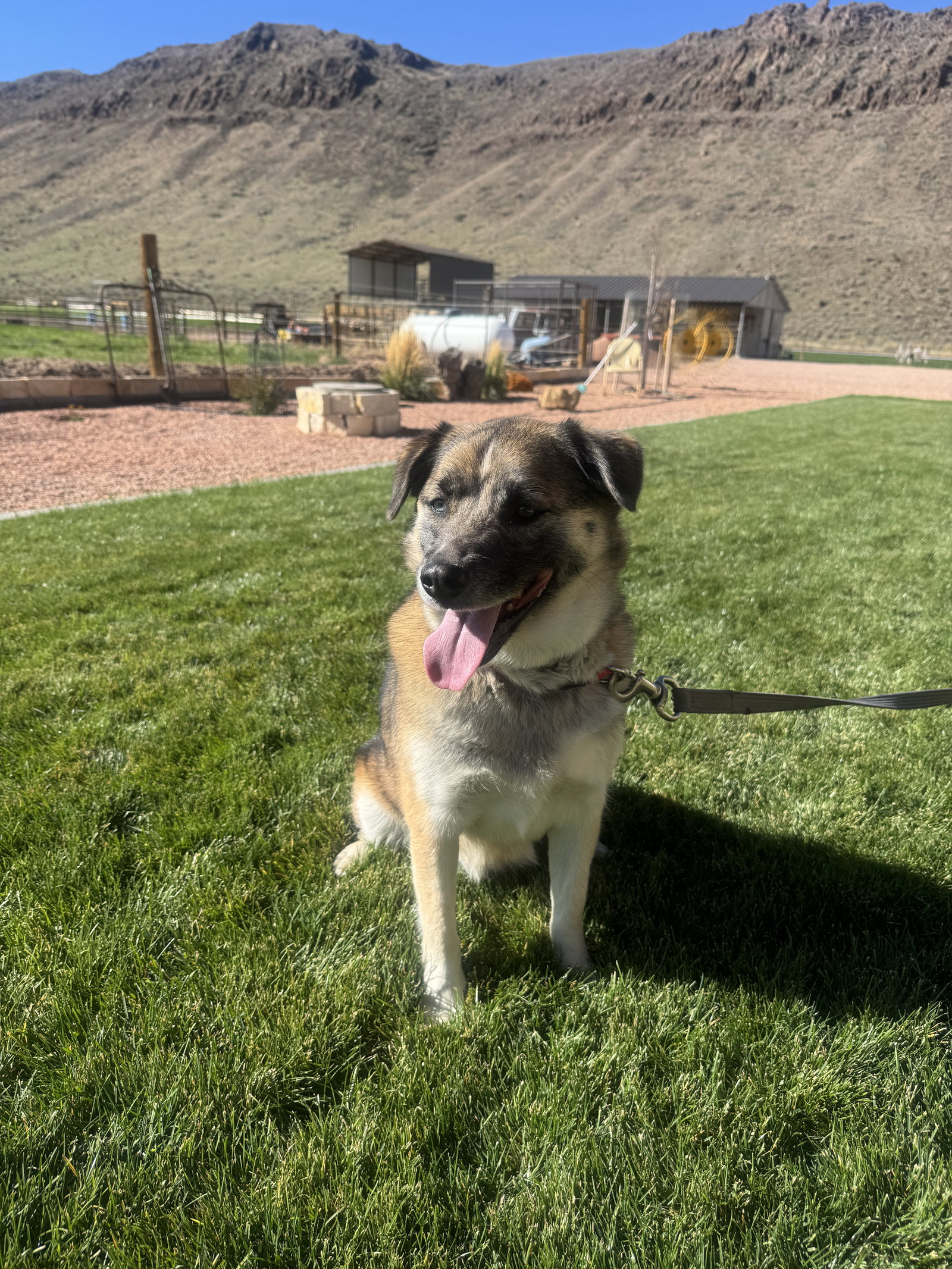 Dixie Lou, photo 2