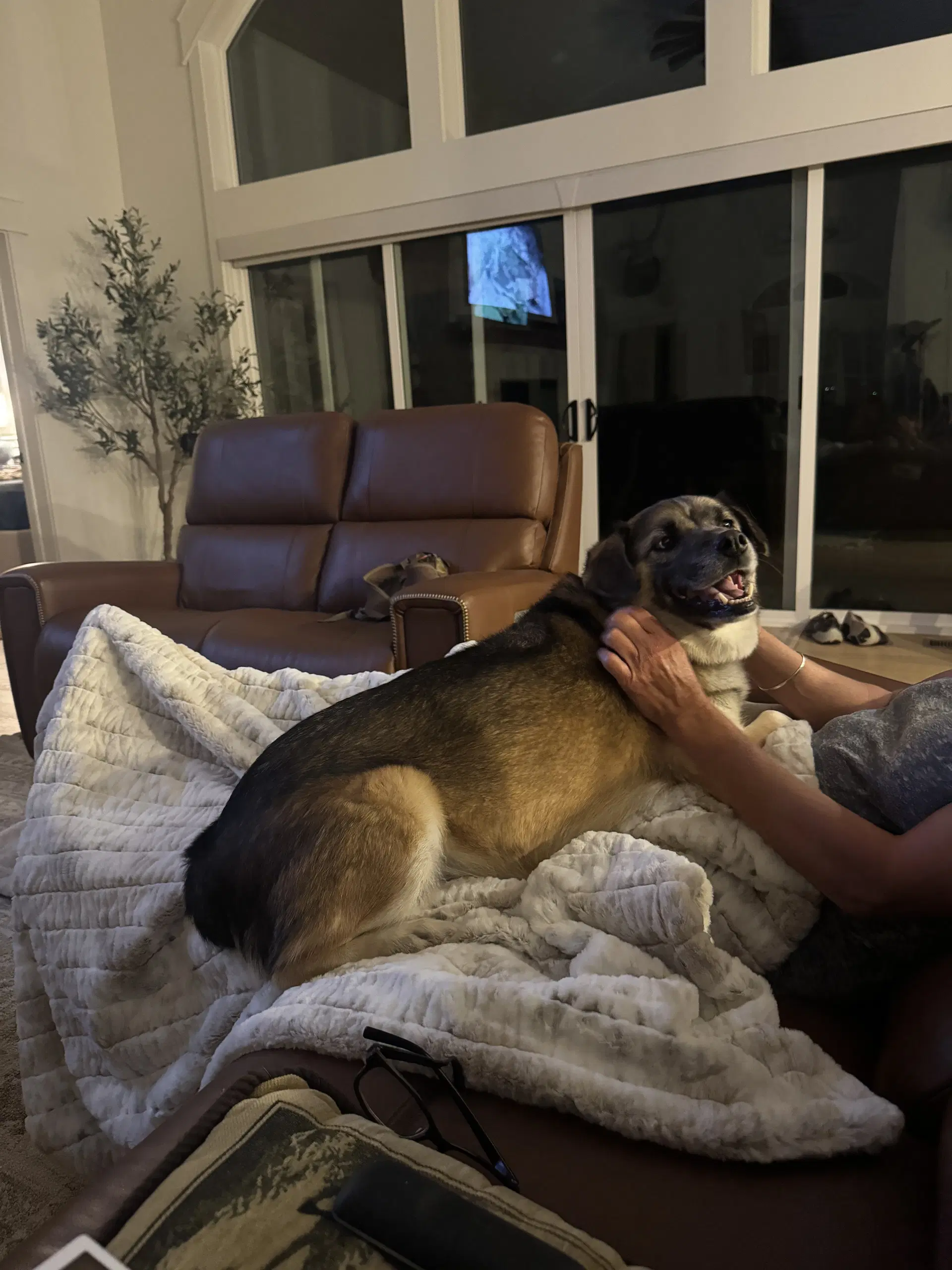 Dixie Lou image 3