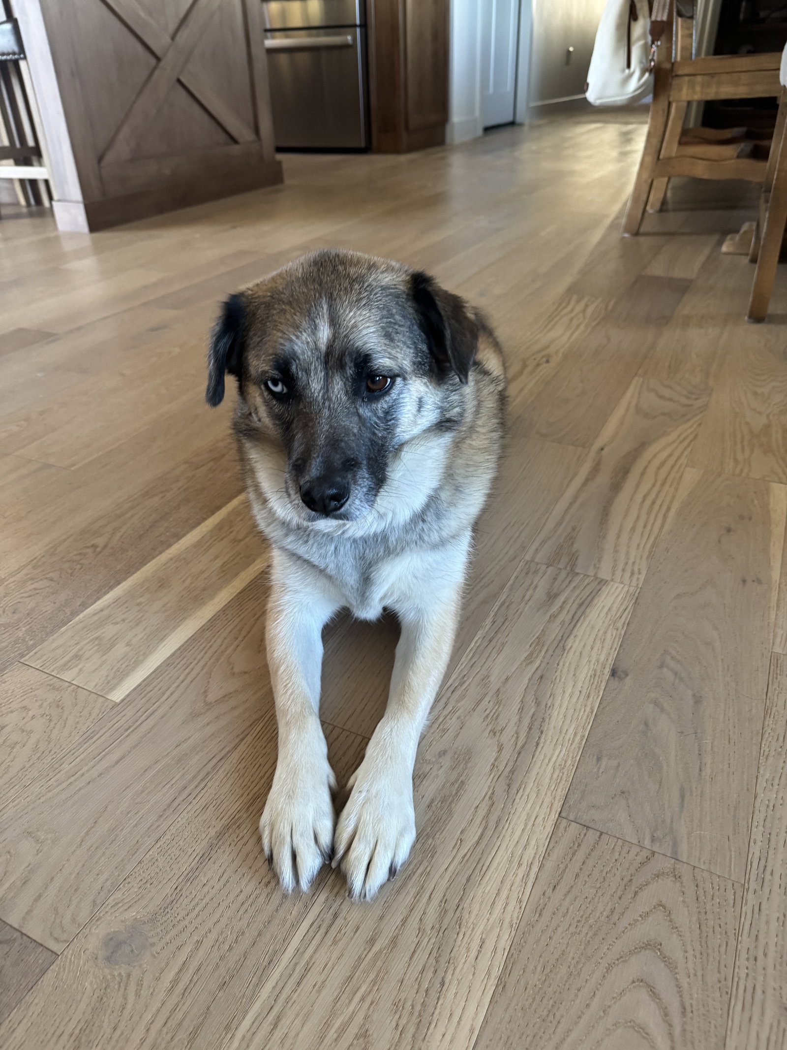 Dixie Lou, photo 6