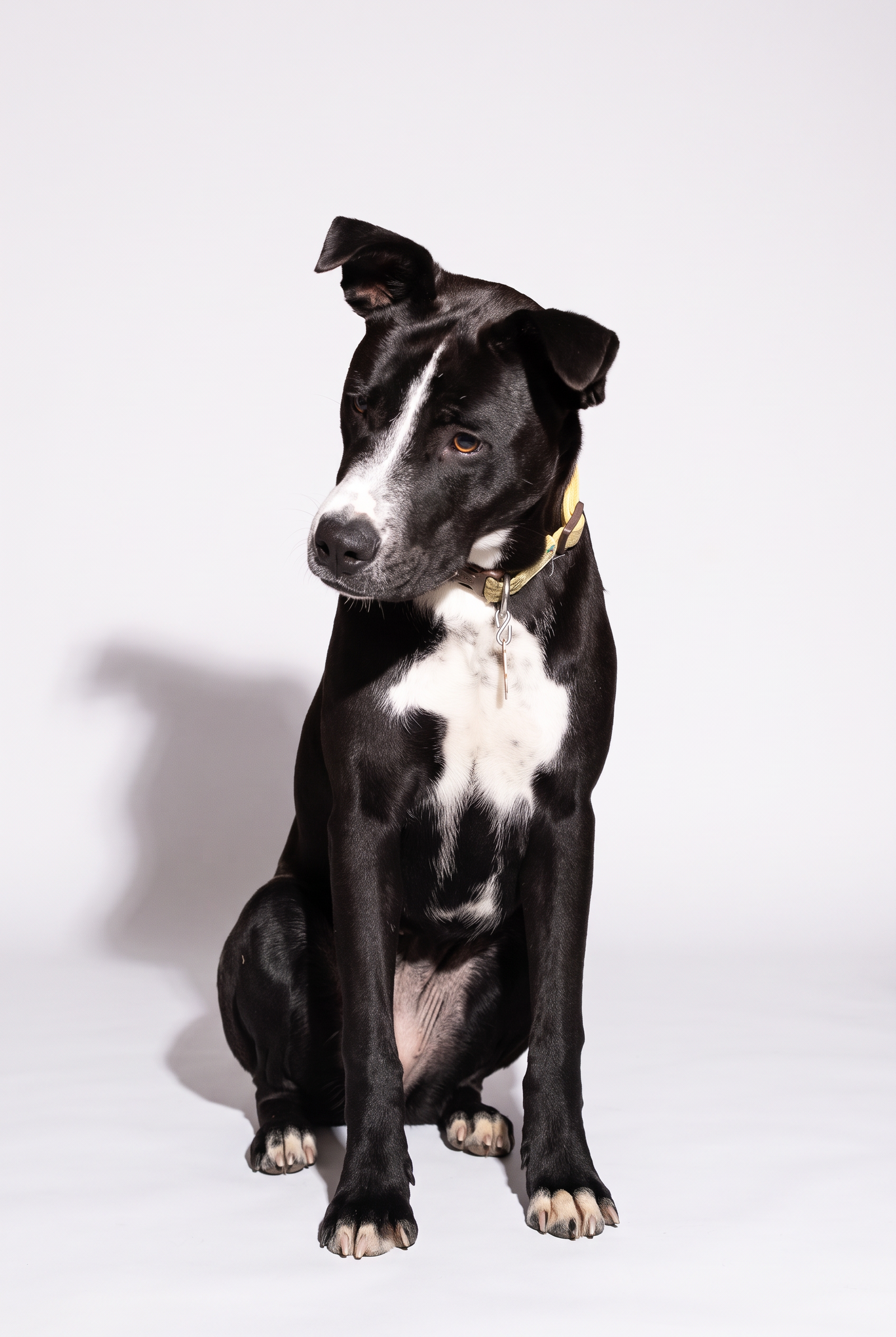 Mabel May, photo 4