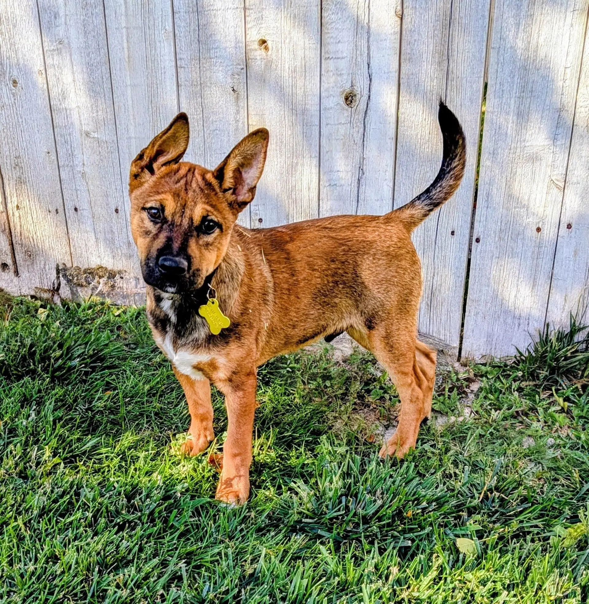 Axel Ryder image 4