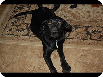 Onyx