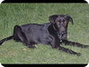Onyx