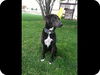 Truvy