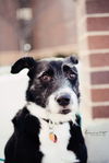 Nellie