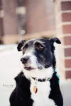 Nellie
