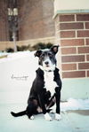 Nellie