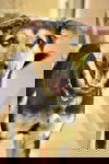 Taddy